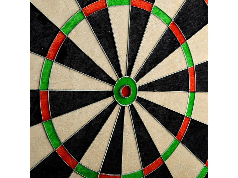 Дартс професійний WinMax MATCH PLAY G504