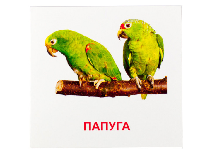Карточки мини 