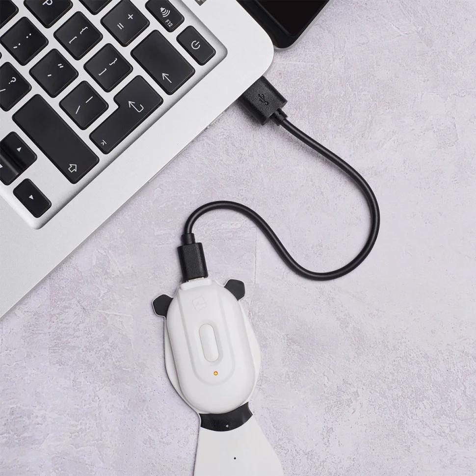 Закладка-фонарик ПАНДА Flexilight FLRPPA Rechargeable на аккумуляторе
