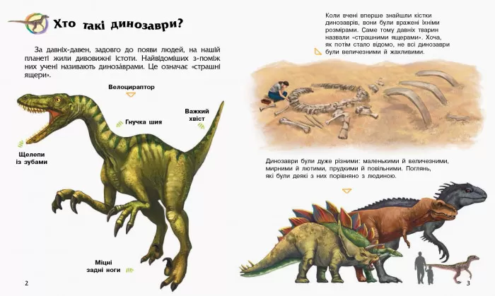 Енциклопедія дошкільника (нова) : Динозаври (у) 614022