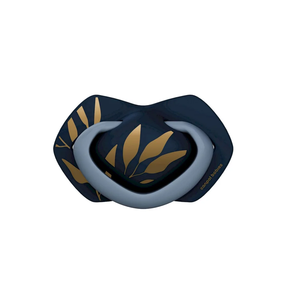 Пустышка силиконовая симметричная в футляре Gold Canpol babies 22/664_blu 2 шт, 0-6 месяцев