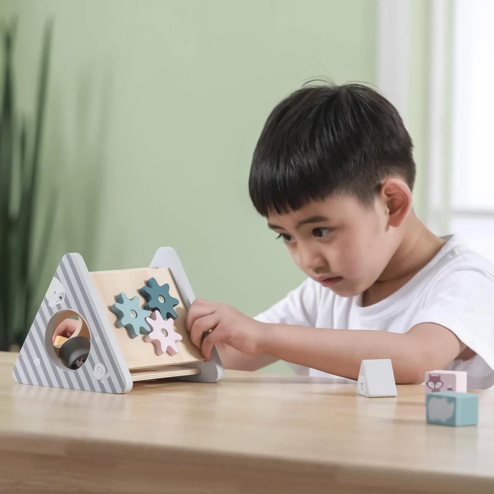 Дерев'яний сортер Розвиток Viga Toys PolarB 44007, 5 в 1