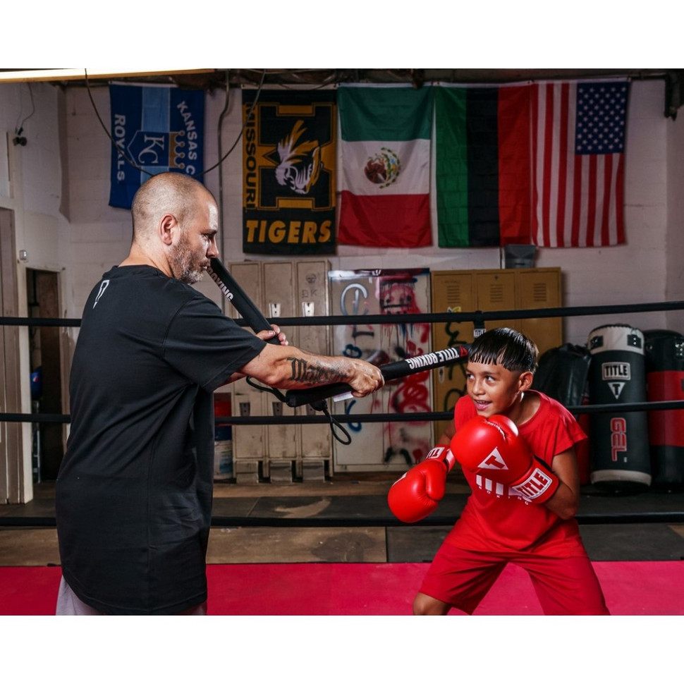 Палиці для боксу (лападани тренерські) Boxing Precision Training Sticks 2.0 TITLE TSOTS2 BK, Black