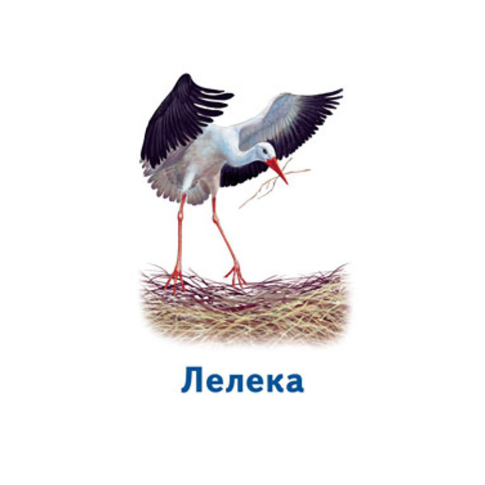 Настольная игра Парочки: Мир животных Ранок 1392003, 6 игр