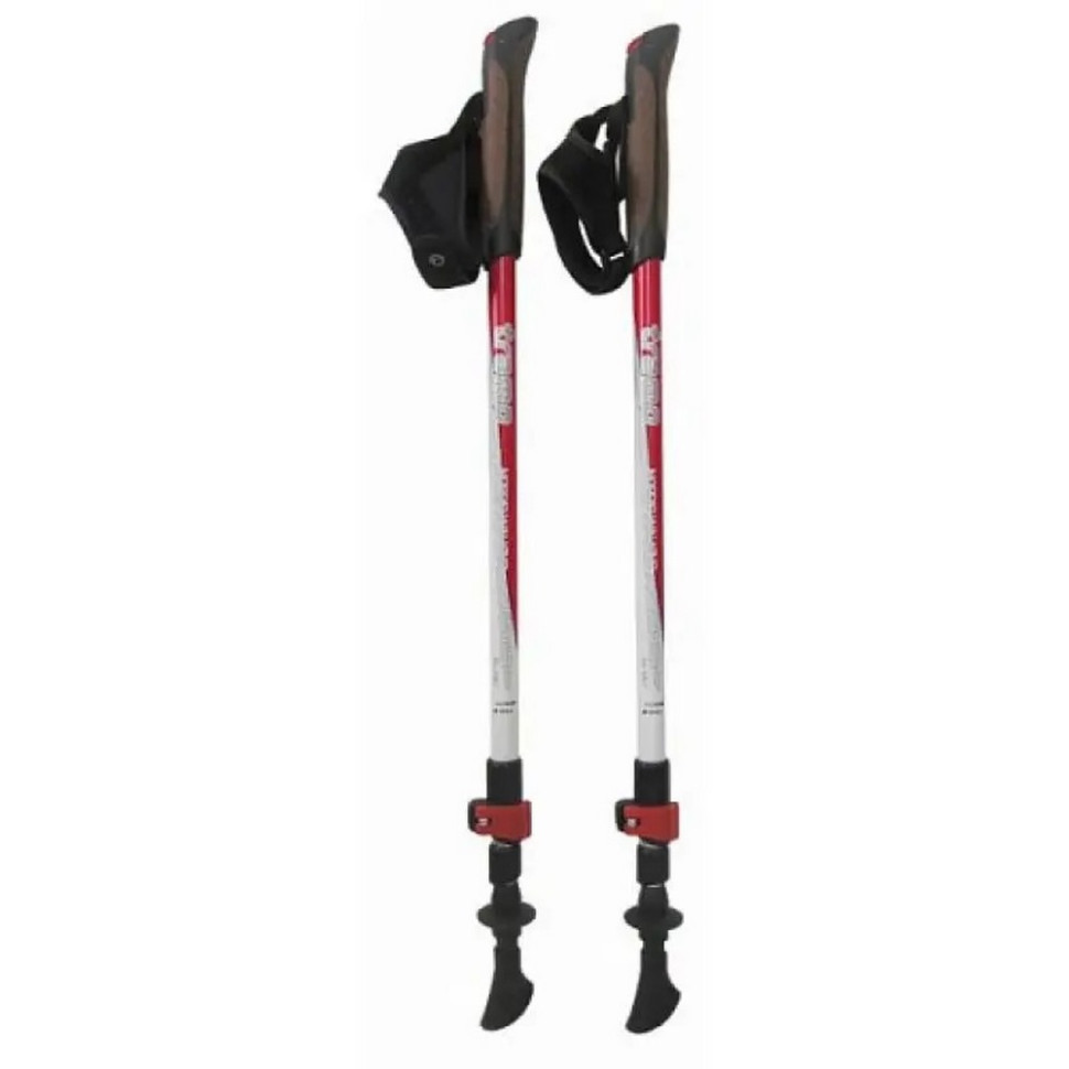 Палиці для скандинавської ходьби Compact Tramp TRR-004