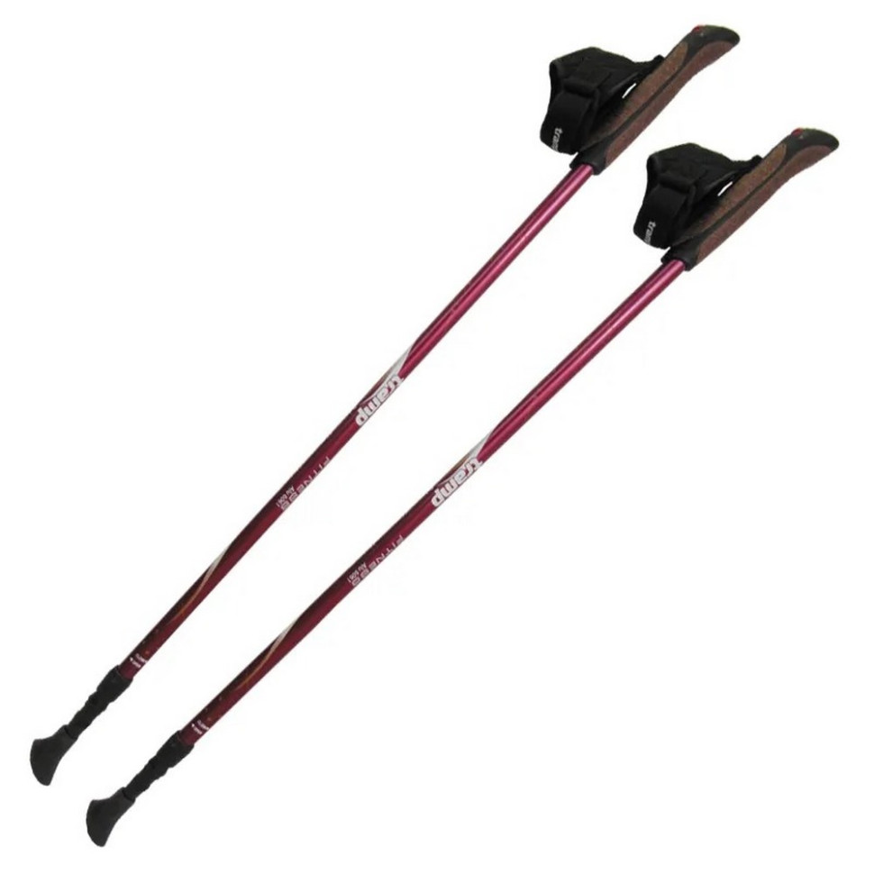 Палиці для скандинавської ходьби Fitness Tramp TRR-011