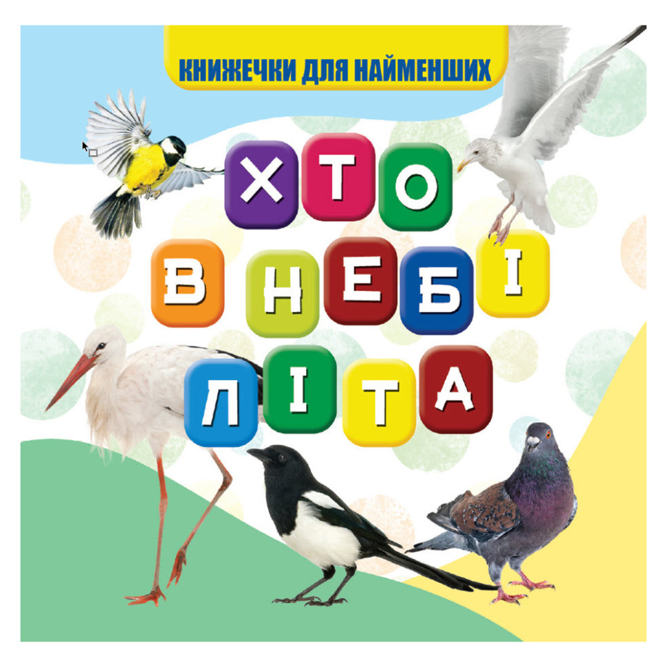 Моя первая книжечка Кто в небе летает Jumbi VR06041708, 10 страниц