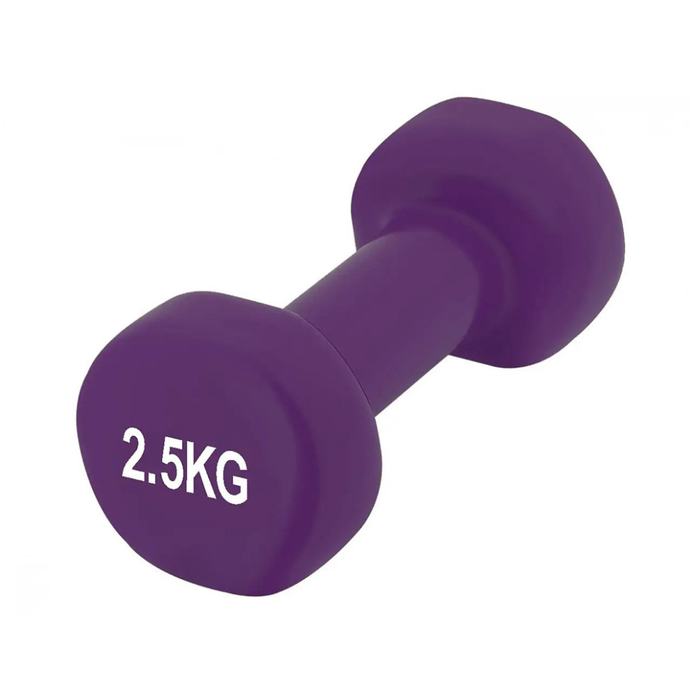 Гантель виниловая Achilles PowerPlay PP_4125_2.5kg, 2.5 кг Фиолетовая 1 шт