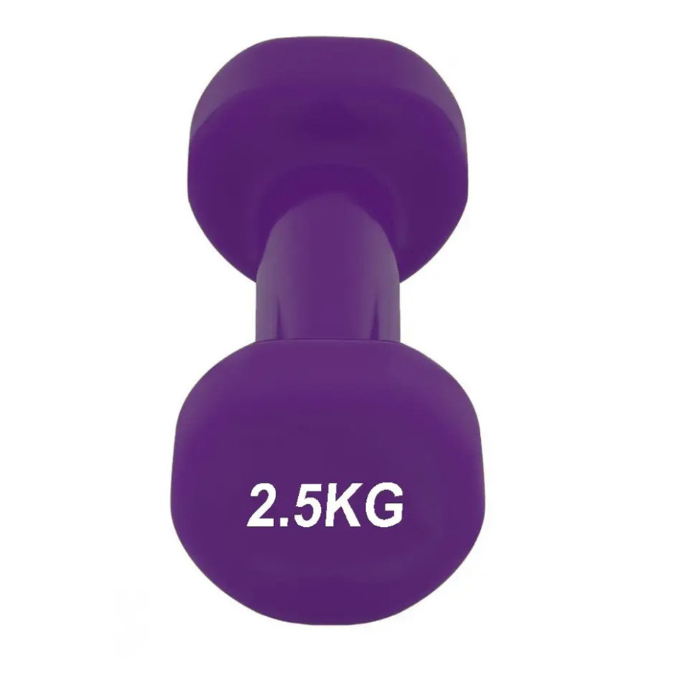 Гантель виниловая Achilles PowerPlay PP_4125_2.5kg, 2.5 кг Фиолетовая 1 шт