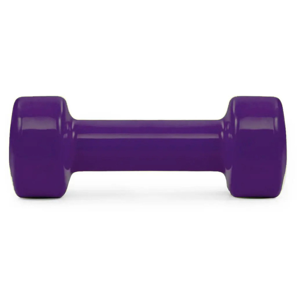 Гантель виниловая Achilles PowerPlay PP_4125_2.5kg, 2.5 кг Фиолетовая 1 шт