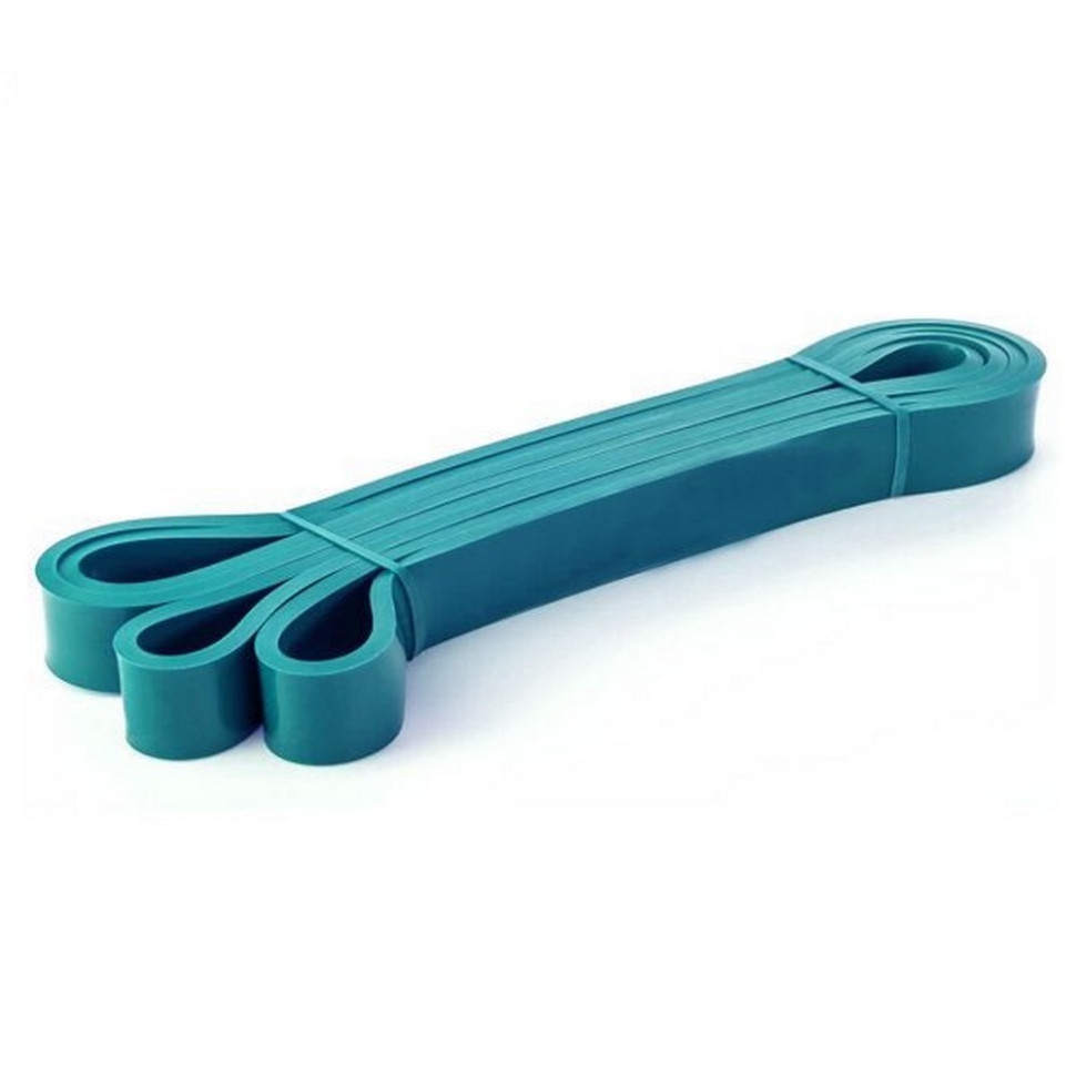 Резиновая петля для тренировки Pro Loop Bands Newt NE-B-452-5-14B, 5-14 кг, бирюзовая 