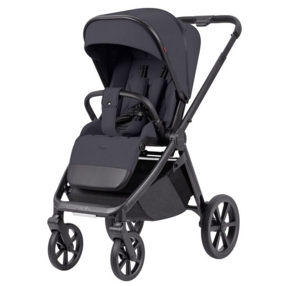 Коляска универсальная 2 в 1 Omega CARRELLO CRL-6540 Meteor Grey 