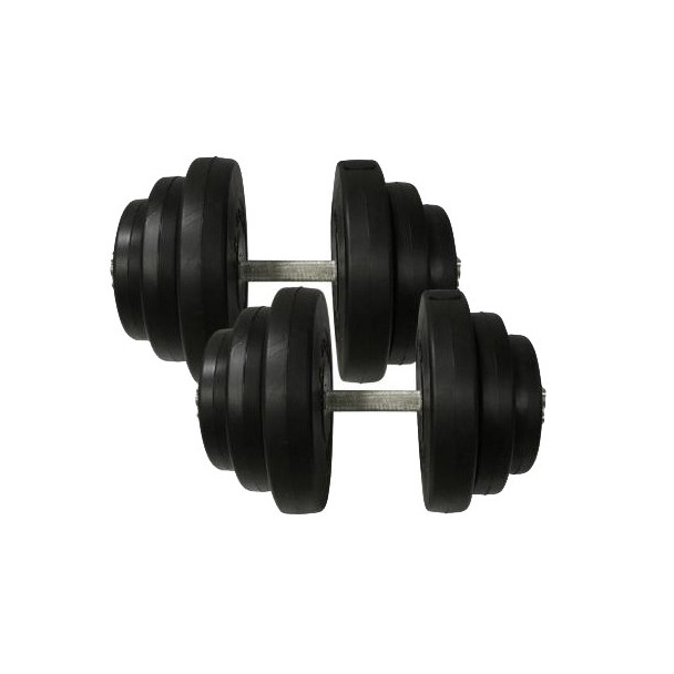 Гантели наборные композитные в пластиковой оболочке Newt Rock Pro-R 2 шт по 19,5 кг NE-PL-R-019-2