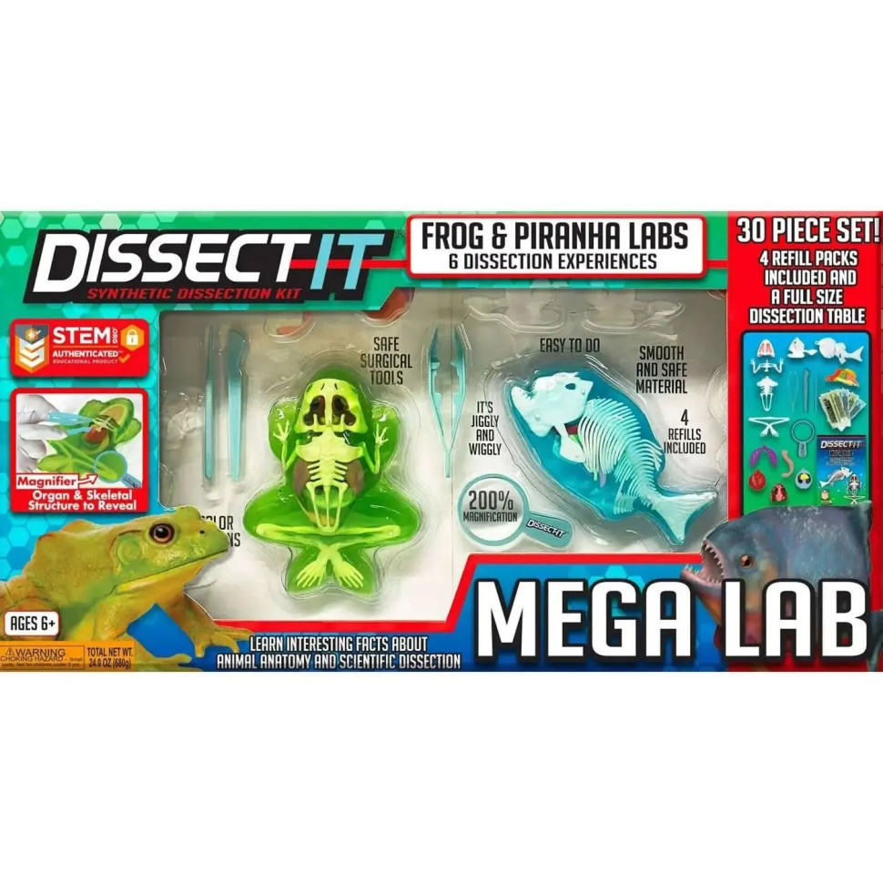 Розвиваючий набір Slimy Lab 