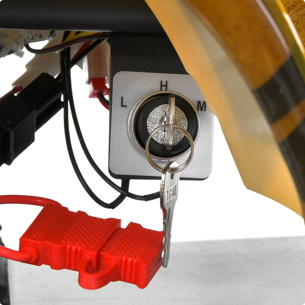 Дитячий електромобіль Квадроцикл Prof1 HB-EATV1000N-13 до 65 кг