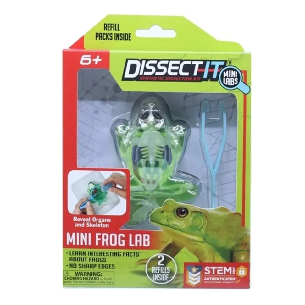 Развивающий набор Slimy Lab 