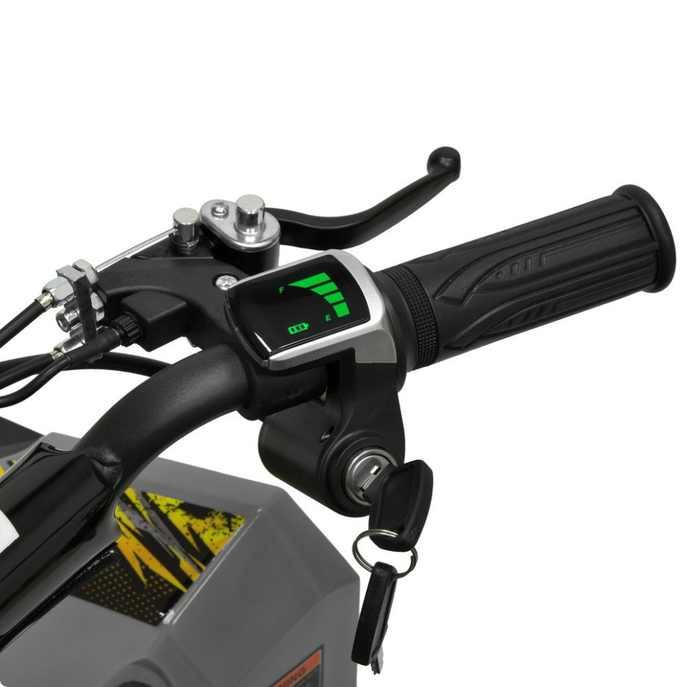 Дитячий електромобіль Квадроцикл Prof1 HB-FFG1000-11-6 до 45кг