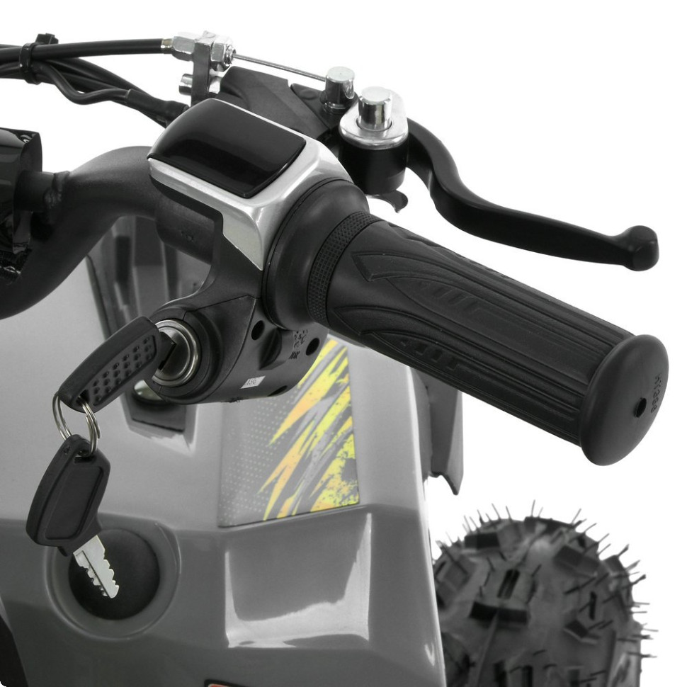 Дитячий електромобіль Квадроцикл Prof1 HB-FFG1000-11-6 до 45кг