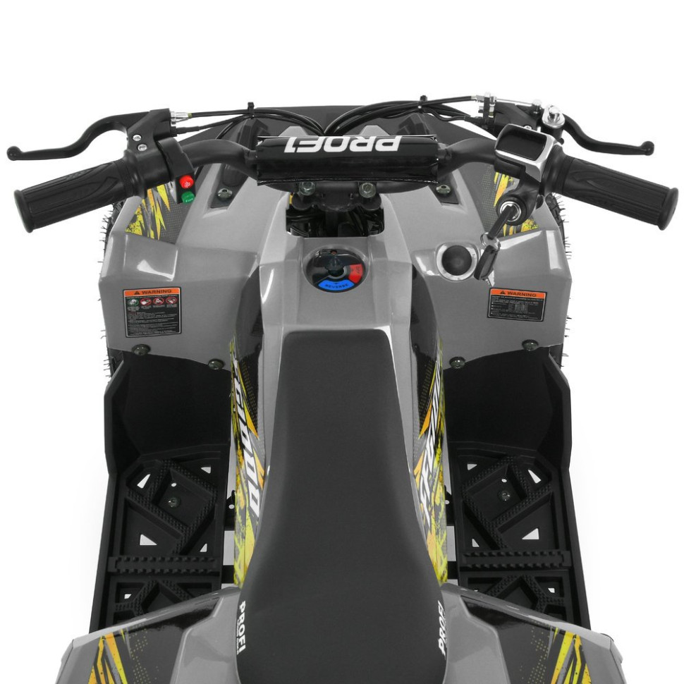 Дитячий електромобіль Квадроцикл Prof1 HB-FFG1000-11-6 до 45кг