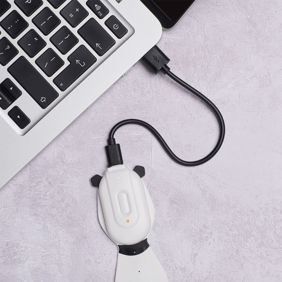 Закладка-ліхтарик ПАНДА Flexilight FLRPPA Rechargeable на акумуляторі