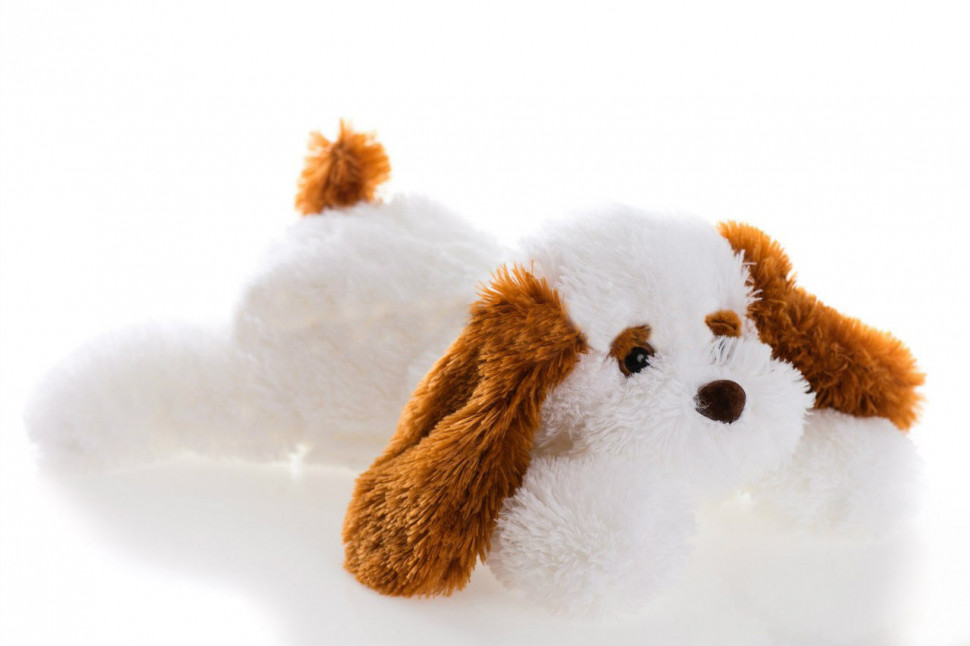 Мягкая игрушка Alina Toys собака Тузик 65 см белый 5784668ALN