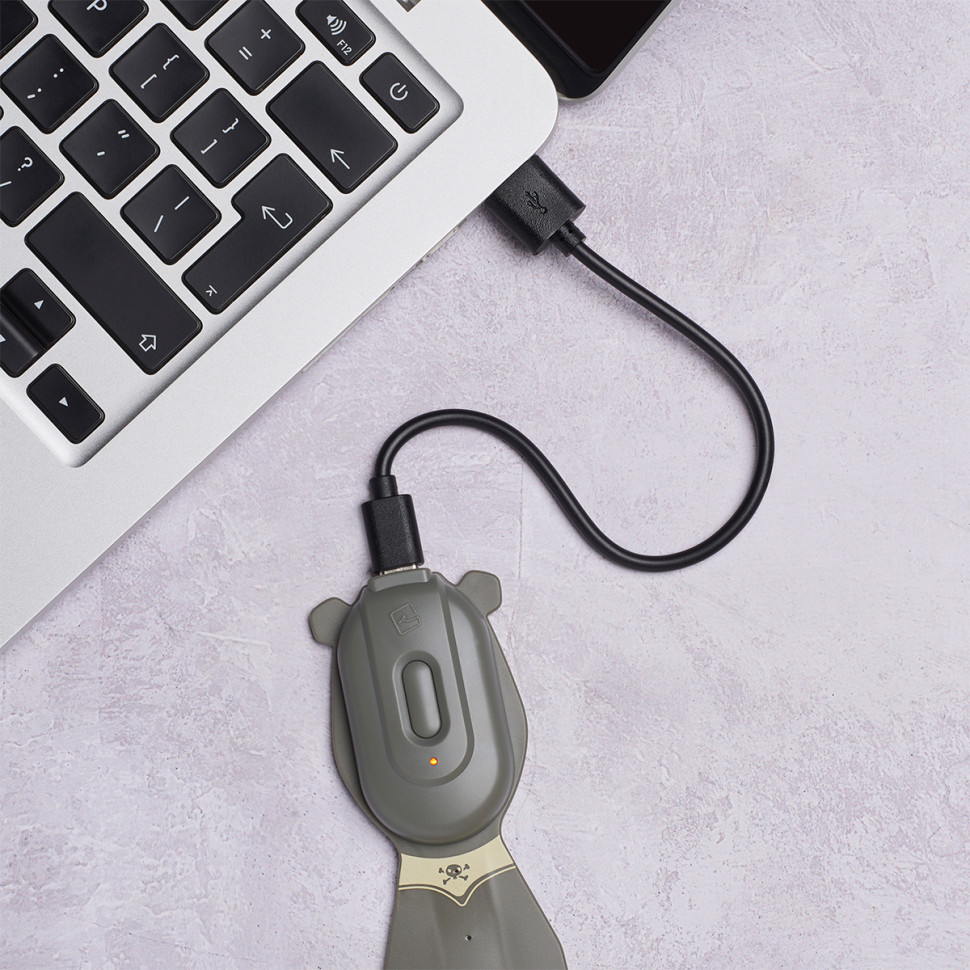 Закладка-фонарик ПИРАТ Flexilight FLRPPI Rechargeable на аккумуляторе