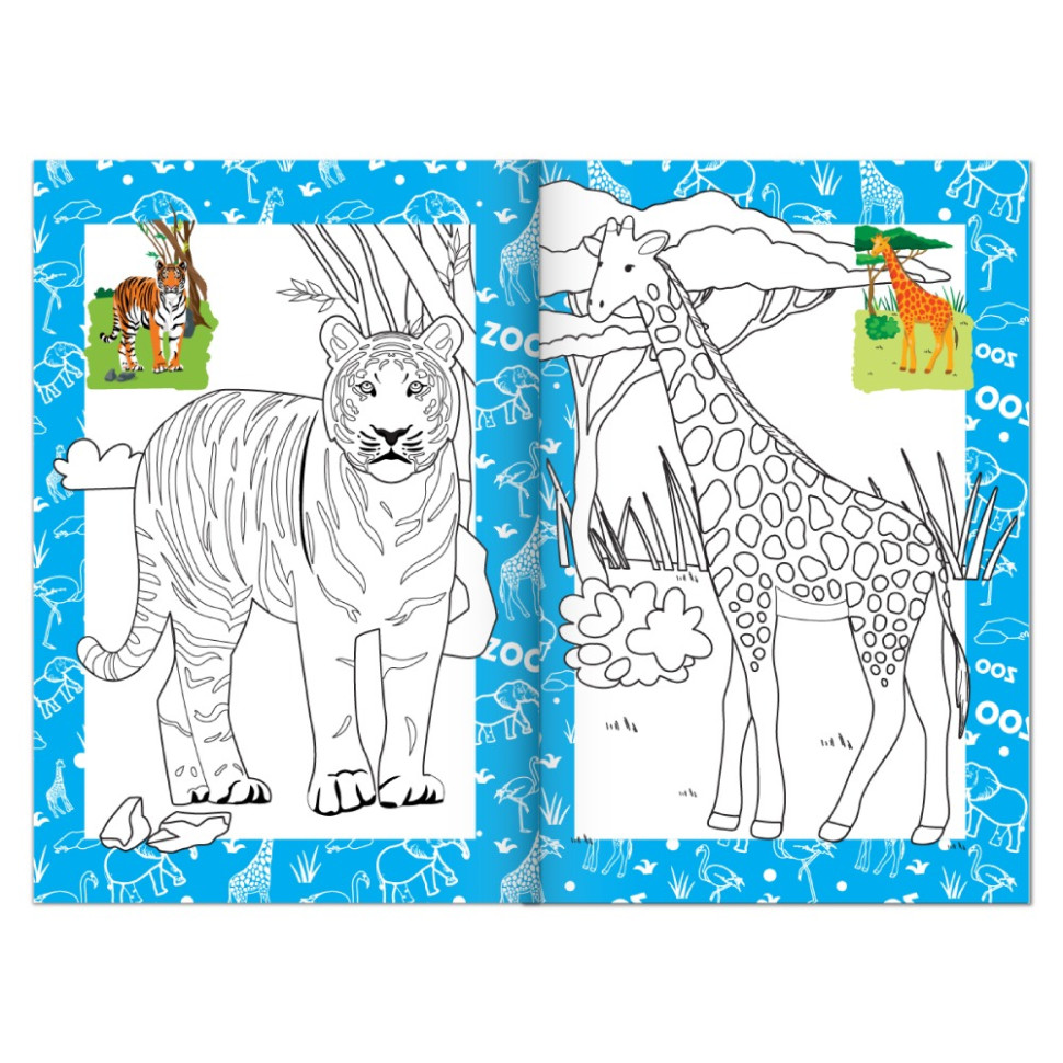 Книжка розмальовка 