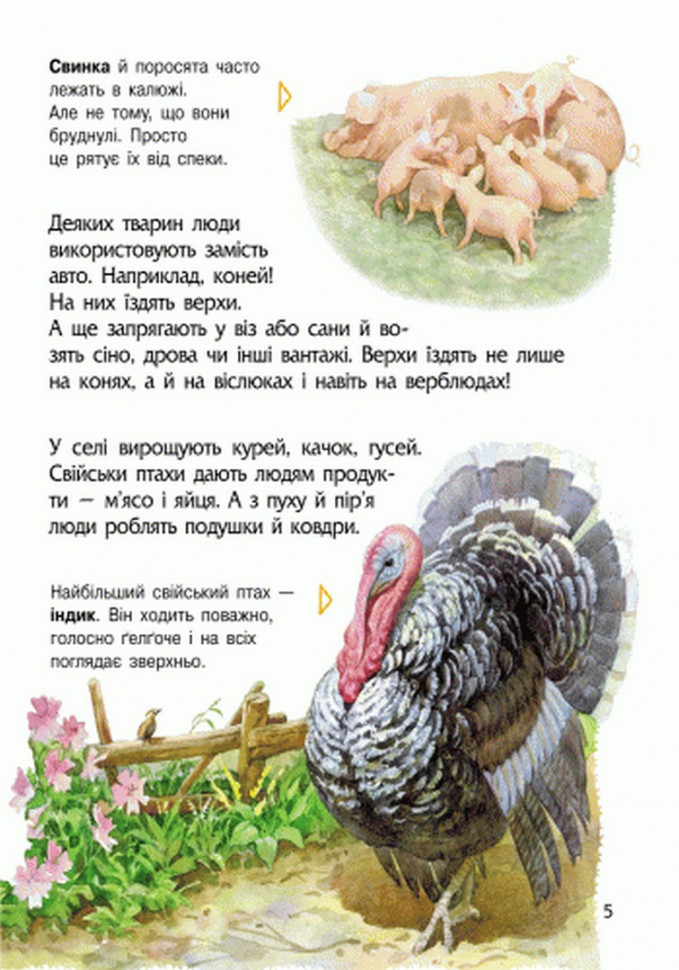 Энциклопедия дошкольника (новая) : Животные (у) 614005