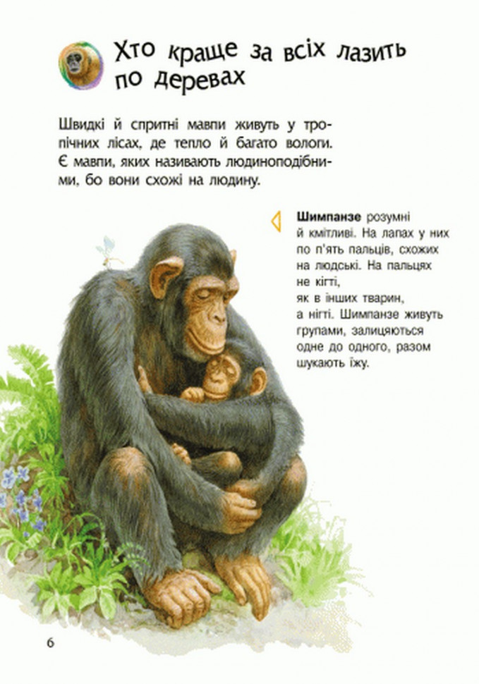 Энциклопедия дошкольника (новая) : Животные (у) 614005