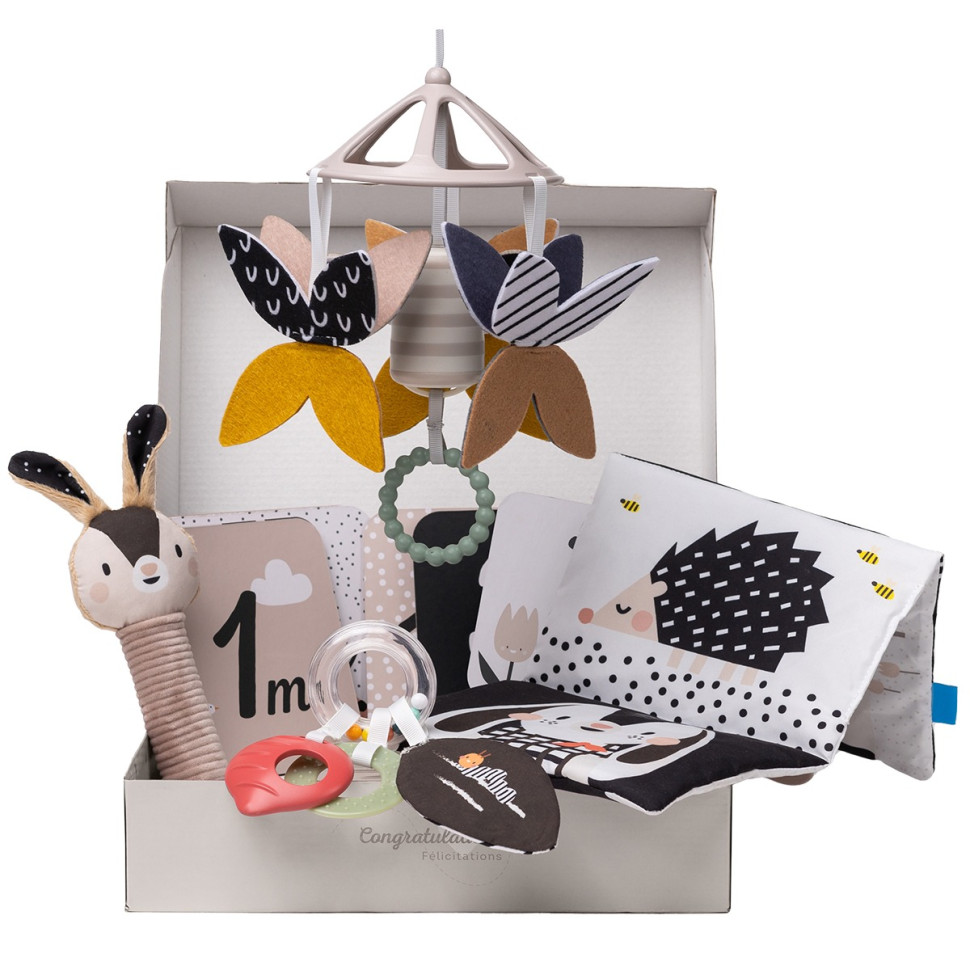 Подарунковий набір іграшок для новонародженого 