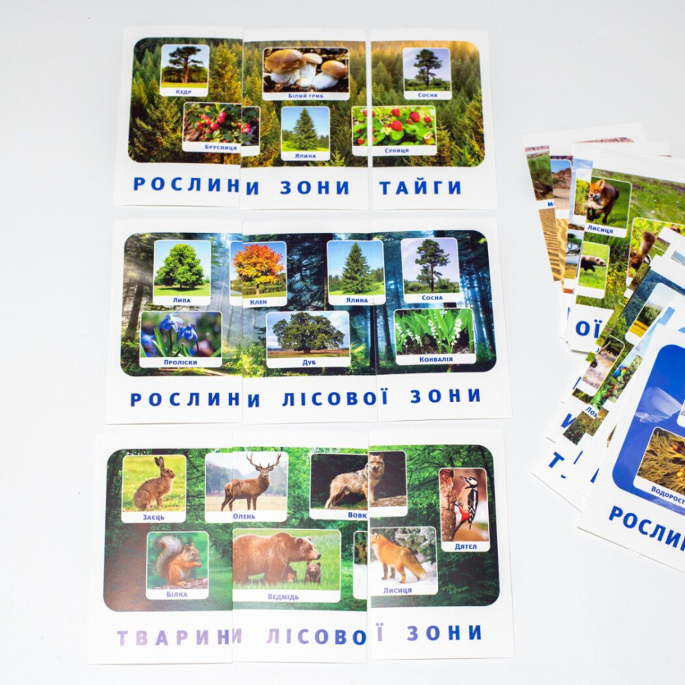 Набір тематичних карток 
