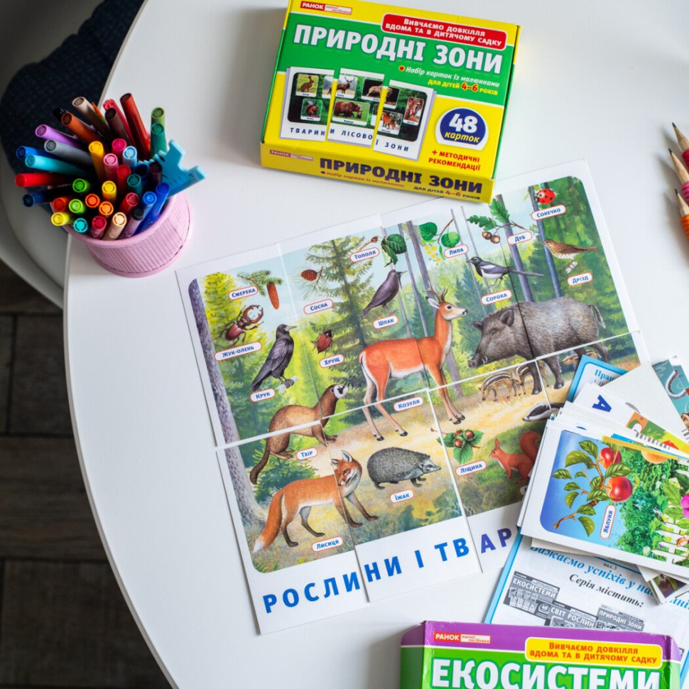 Набір тематичних карток 