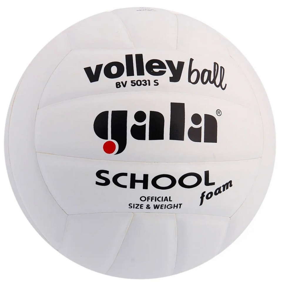 Мяч волейбольный School Foam Gala BV5031S № 5