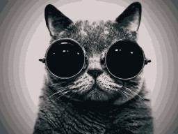 Картина по номерам "Кот Морфеус" Art Craft 11607-AC 40х50 см Картина по номерам "Кот Морфеус" Art Craft 11607-AC 40х50 см