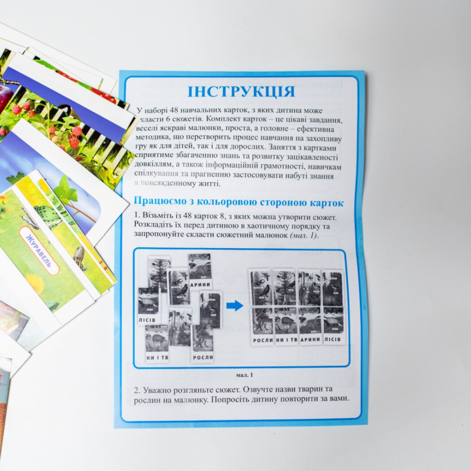 Набір тематичних карток 