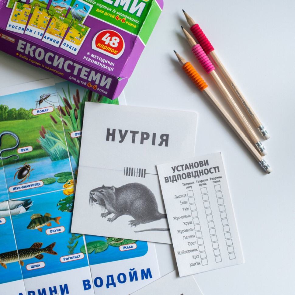 Набір тематичних карток 