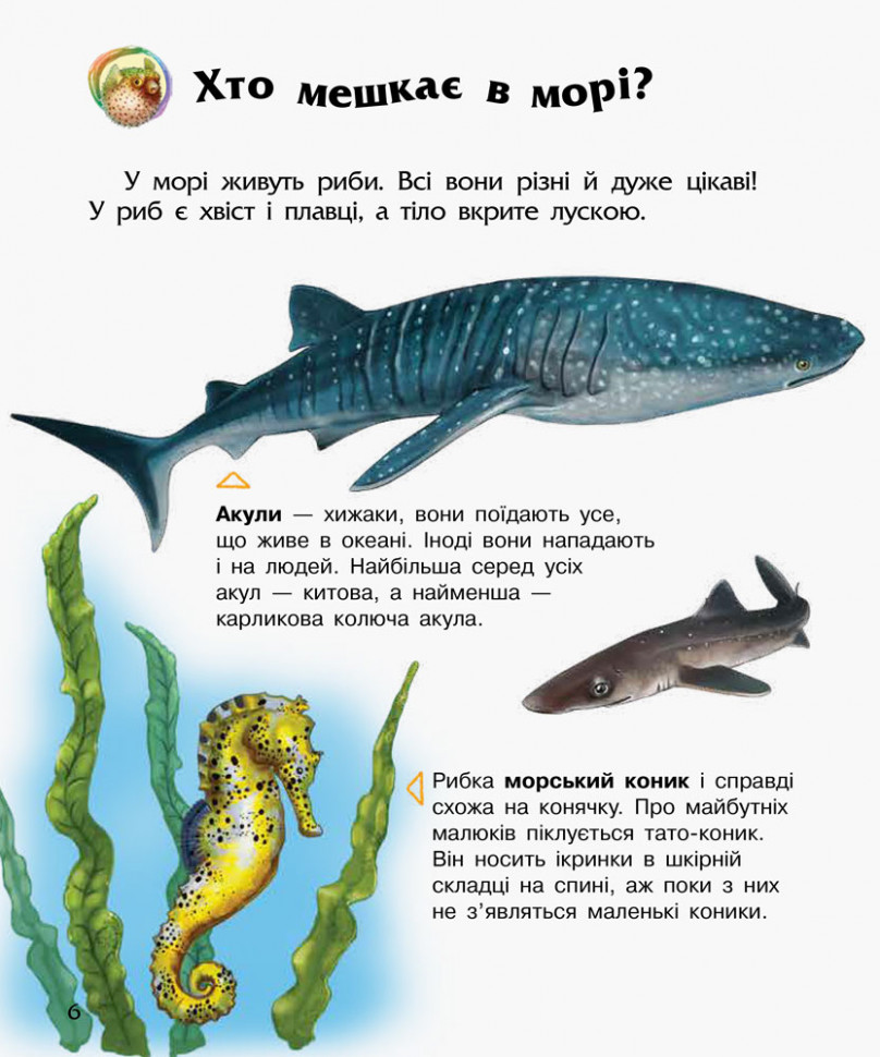 Энциклопедия дошкольника (новая) : Океаны и моря (у) 614011