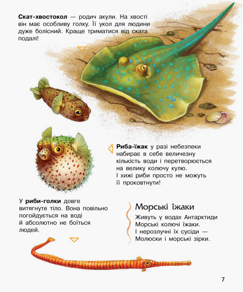 Энциклопедия дошкольника (новая) : Океаны и моря (у) 614011