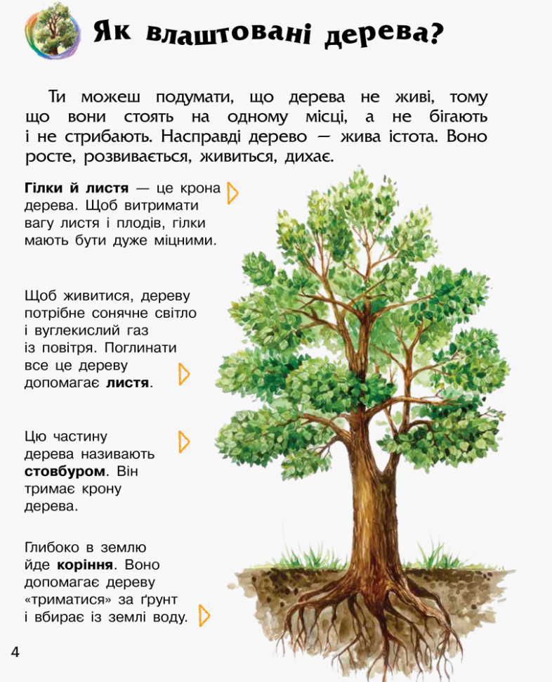Енциклопедія дошкільника (нова) : Ліс (у) 614016
