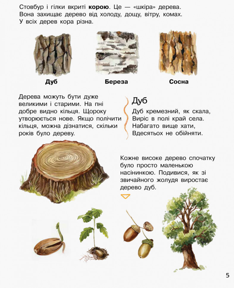 Енциклопедія дошкільника (нова) : Ліс (у) 614016