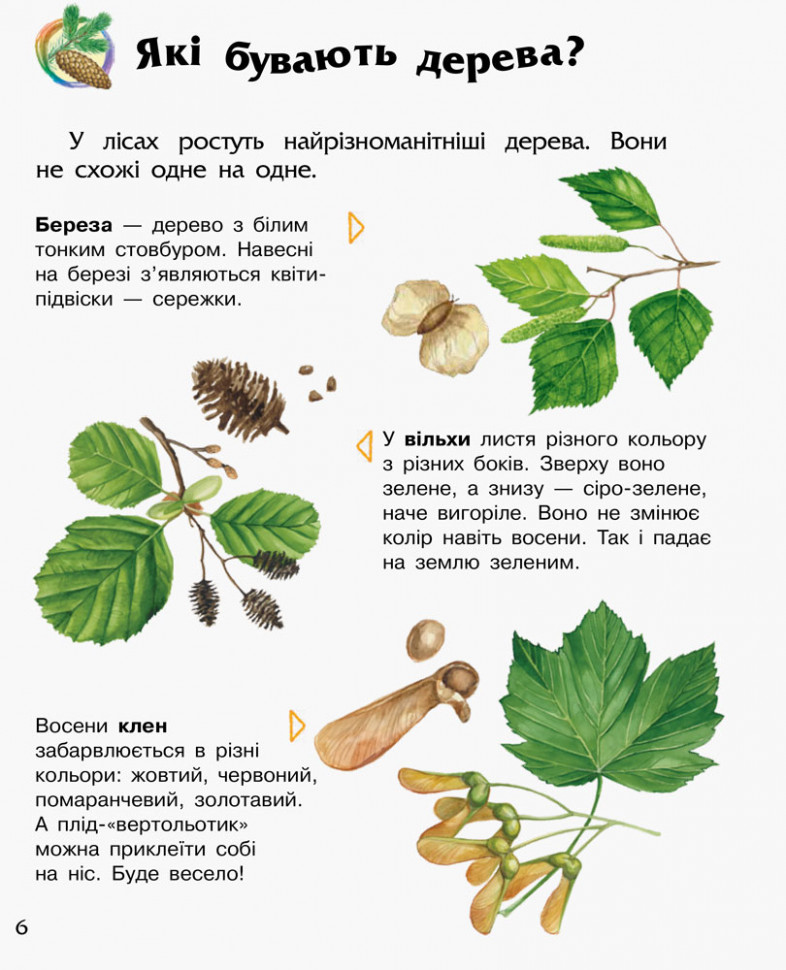 Енциклопедія дошкільника (нова) : Ліс (у) 614016