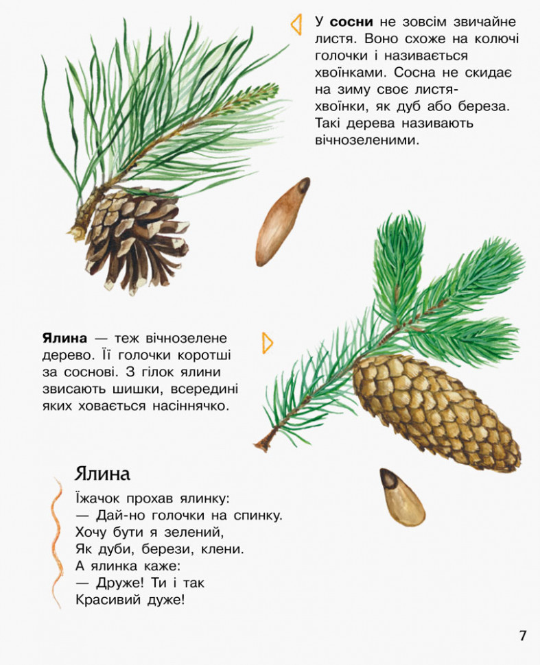 Енциклопедія дошкільника (нова) : Ліс (у) 614016