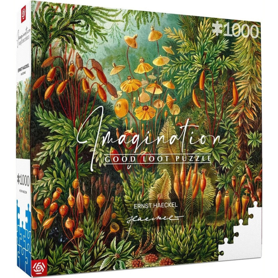 Пазл классический Imagination: Ernst Haeckel Muscinae Puzzles GoodLoot 5908305239642, 1000 элементов