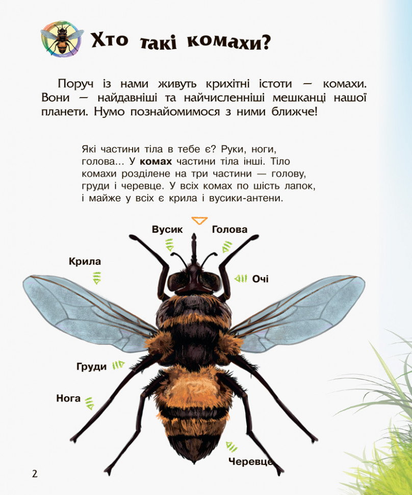 Энциклопедия дошкольника (новая) : Насекомые (у) 614014