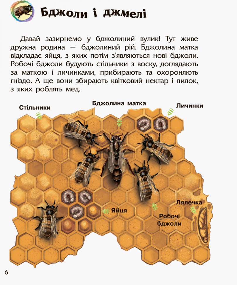 Энциклопедия дошкольника (новая) : Насекомые (у) 614014