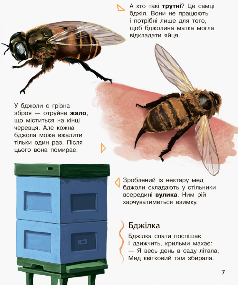 Энциклопедия дошкольника (новая) : Насекомые (у) 614014