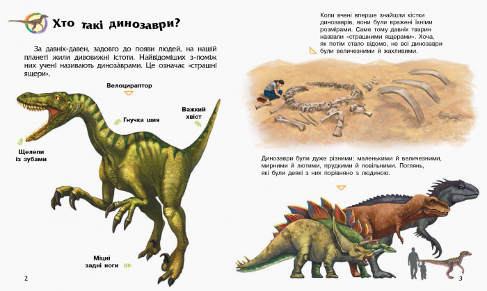 Энциклопедия дошкольника (новая) : Динозавры (у) 614022