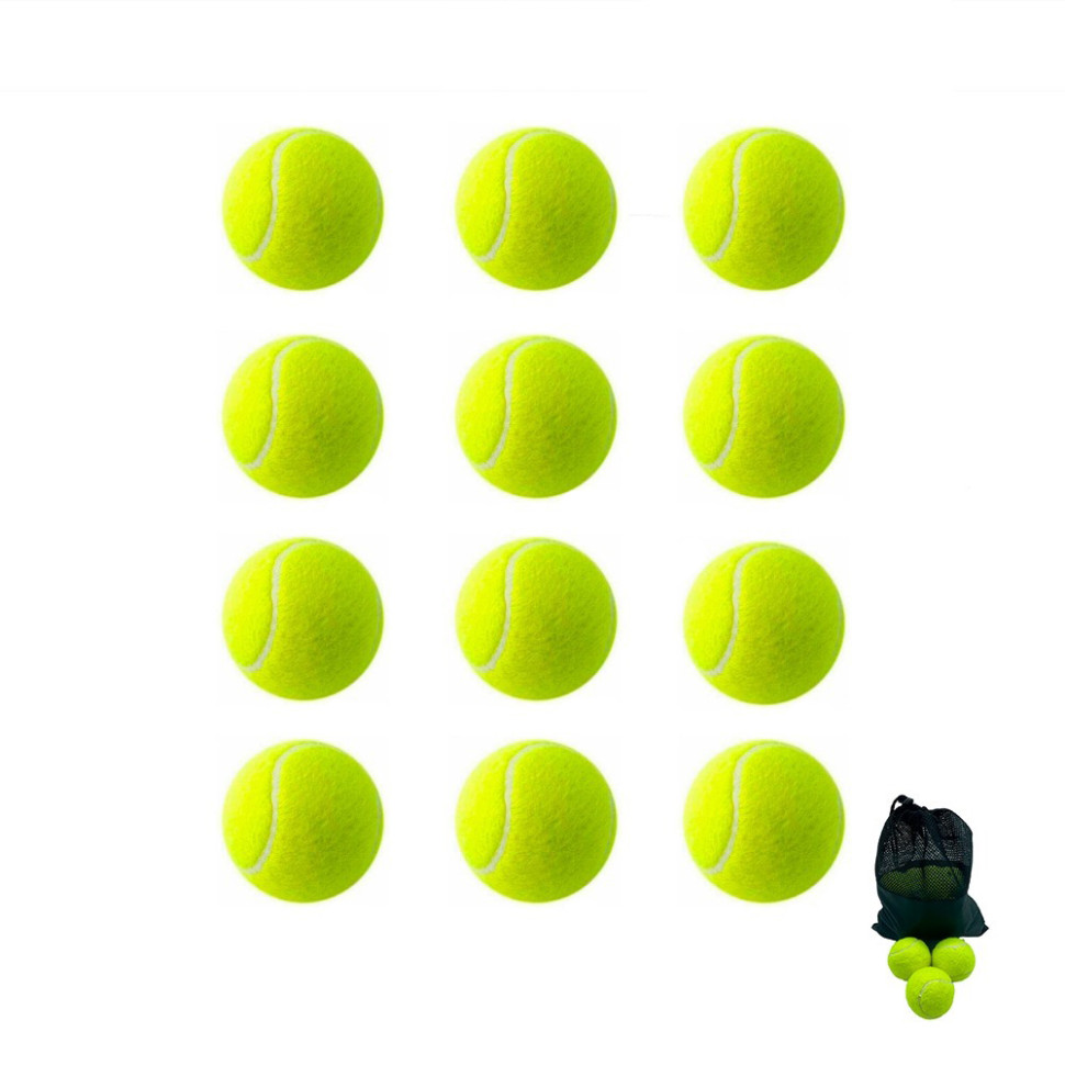 Набор мячей для большого тенниса SWDN Tennis Ball Newt NE-TT-12 в чехле 12 штук