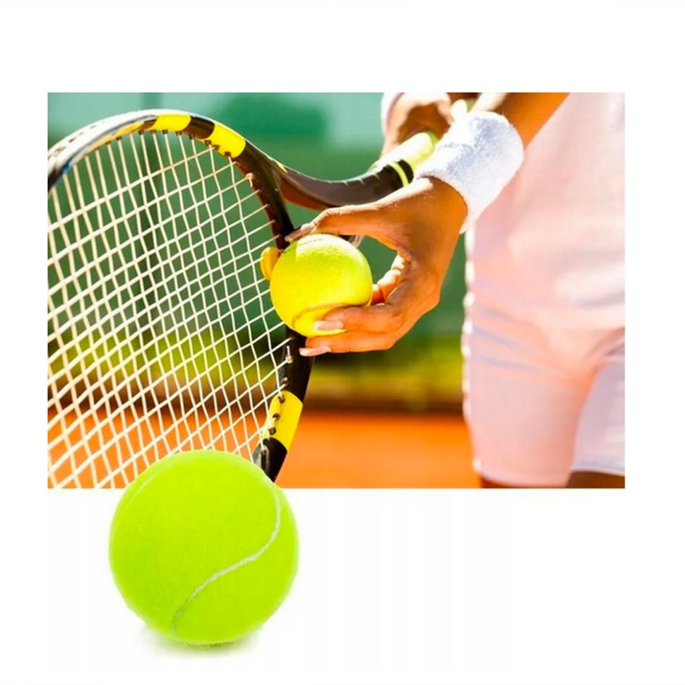 Набор мячей для большого тенниса SWDN Tennis Ball Newt NE-TT-12 в чехле 12 штук