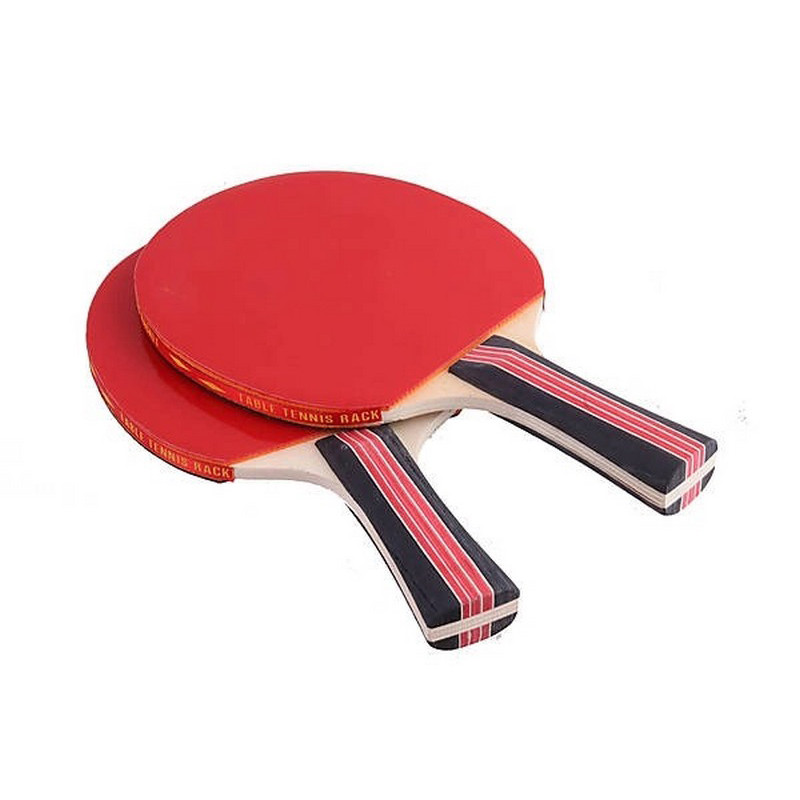 Набір ракеток для настільного тенісу Extreme Gemini Sport TT2023